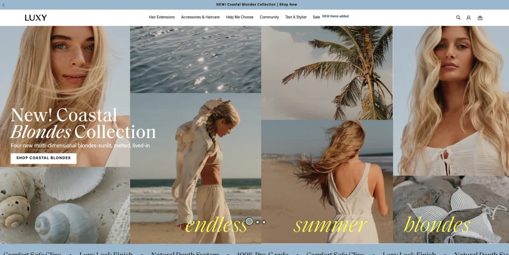 Website design portfolio